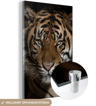 MuchoWow® Glasschilderij 120x180 cm - Schilderij acrylglas - Tijger - Wilde dieren - Portret - Foto op glas - Schilderijen