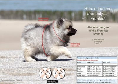 Frenkiez reflective no pull lockable harness, pink, Large
