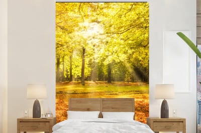 Behang - Fotobehang Boom - Natuur - Zon - Landschap - Bos - Breedte 160 cm x hoogte 240 cm