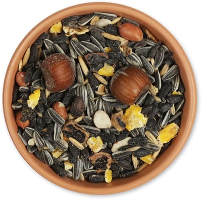 CJ Wildlife - 2kg Eekhoorn Voedermix - 33% Vet en 13% Eitwit - Uitgebalanceerd dieet - Eekhoorn Voer