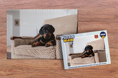Puzzel Schattige Rottweiler puppy zit op een stoel - Legpuzzel - Puzzel 1000 stukjes volwassenen
