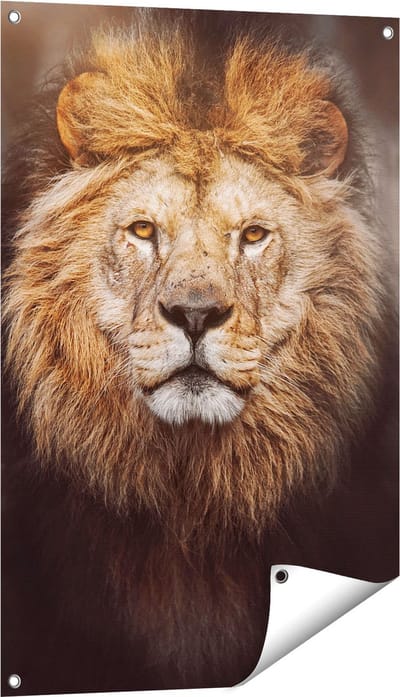 Gards Tuinposter Leeuw - Leeuwenkop - Kleur - 60x90 cm - Tuindoek - Tuindecoratie - Wanddecoratie buiten - Tuinschilderij