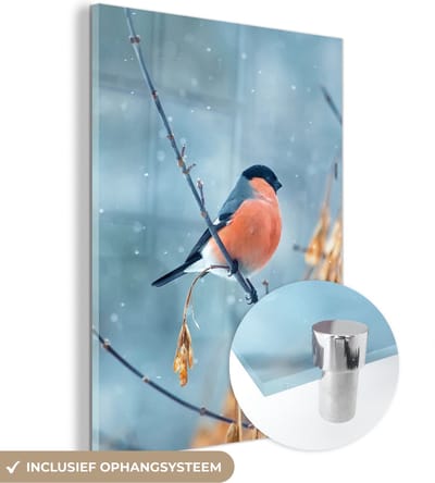 MuchoWow® Glasschilderij 30x40 cm - Schilderij acrylglas - Roodborstje - Vogel - Sneeuw - Herfstbladeren - Foto op glas - Schilderijen