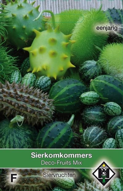 2 stuks Van Hemert & Co Cucumis Deco Fruits Mix