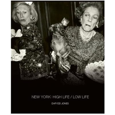 New York: High Life / Low Life - Dafydd Jones - Dafydd Jones