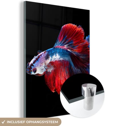 MuchoWow® Glasschilderij 120x160 cm - Schilderij acrylglas - Vis - Staart - Zwart - Foto op glas - Schilderijen