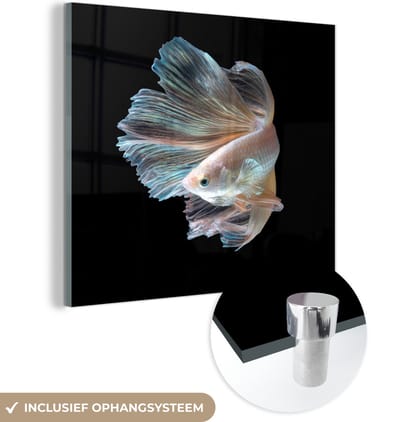 MuchoWow® Glasschilderij 50x50 cm - Schilderij acrylglas - Vis - Staart - Zwart - Foto op glas - Schilderijen