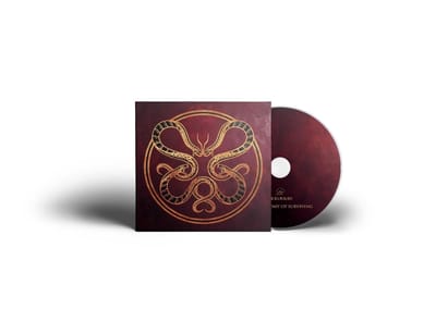 Vicious Rain - The Anatomy