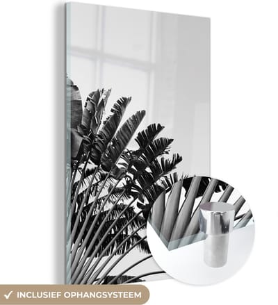 MuchoWow® Glasschilderij 120x180 cm - Schilderij acrylglas - Palmblad - Tropisch - Zomer - Foto op glas - Schilderijen