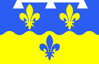 Vlag Loir-et-Cher 200x300cm