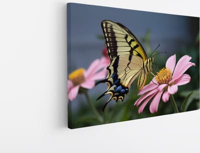 Saammp Canvas Schilderij - Vlinder op bloem - Natuur - Dieren - 45x30 - Foto op canvas - Wanddecoratie - Muurdecoratie Woonkamer - Slaapkamer decoratie - Canvas Print