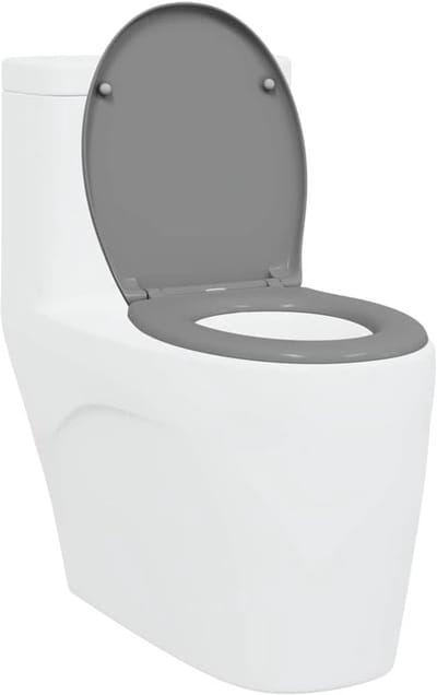Toiletzitting - Toiletdeksel - Badkamer Upgrade - Verstelbare Armleuningen - 44.7 x 37 cm - Grijs