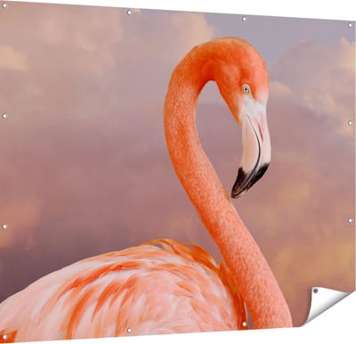 Gards Tuinposter Roze Flamingo in de Wolken - 150x120 cm - Tuindoek - Tuindecoratie - Wanddecoratie buiten - Tuinschilderij