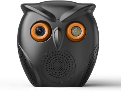 Slimme Binnen WLAN Camera met Persoonsherkenning en Nachtzicht