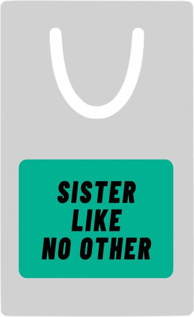 Hacebo® - sister like no other metalen boekenlegger - Zus - geweldige zus - niemand anders - verjaardag - cadeau - kado - bedankje - geschenk Bladwijzer boekenleggers - 7.6 cm x 5cm