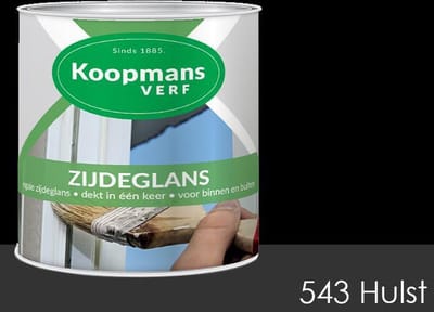 Koopmans Zijdeglans 250 ml 543 Hulst