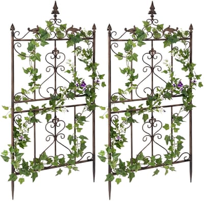CLP Set van 2 Metalen Klimrekken Myrte - Rozen & Clematis Klimsteun - Landelijke Stijl - Geschikt voor Tuin, Balkon, Terras - bruin