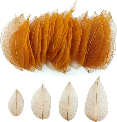 50 Stuks Natuurlijke Skeletbladeren, Gedroogde Bladeren voor DIY Scrapbooking en Creatieve Kaartenmaken