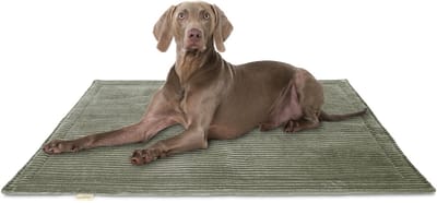 Knuffelwuff Cord Hondenkleed Timor 80x60cm Khaki