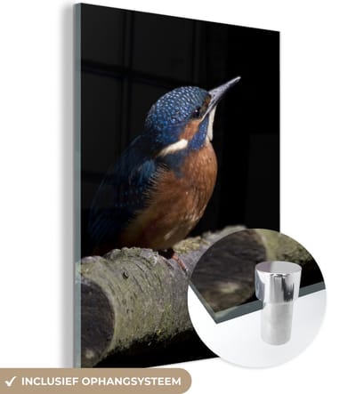 MuchoWow® Glasschilderij 120x160 cm - Schilderij acrylglas - IJsvogel - Tak - Veren - Zwart - Foto op glas - Schilderijen