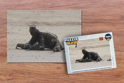 Puzzel Luiaard op het strand in het Nationaal park Manu in Peru - Legpuzzel - Puzzel 1000 stukjes volwassenen