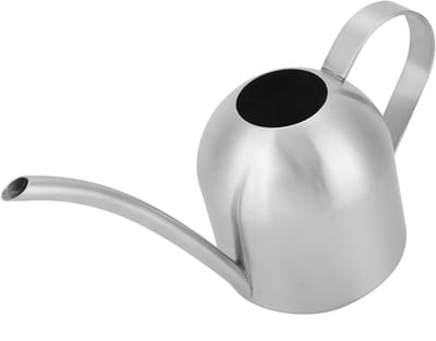 Roestvrijstalen Gieter - Waterkan Planten - Planten Water Geven - Ergonomisch Ontwerp - 1000 ml - Zilverkleurig
