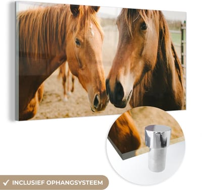 MuchoWow® Glasschilderij 40x20 cm - Schilderij acrylglas - Paard - Strand - Dieren - Foto op glas - Schilderijen