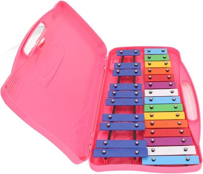 Percussie Muziekinstrument - Aluminium Toetsen - Muzikaal Speelgoed - Kleurrijke Metalen Toetsen - 48 x 34 x 5 cm - Rozet