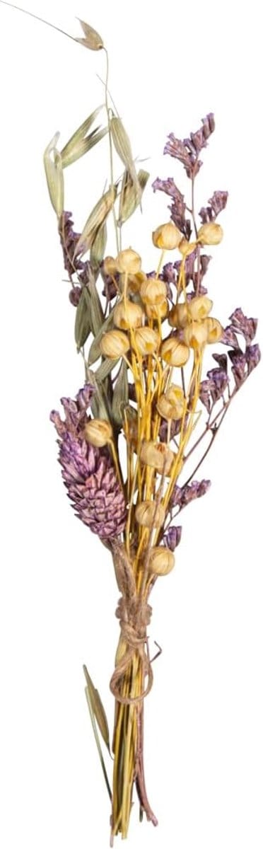 Droogbloemenboeket Mini - Gedroogde Bloemen - Interieur Decoratie - Natuurlijk Product - 18-20 cm - Lila Beige