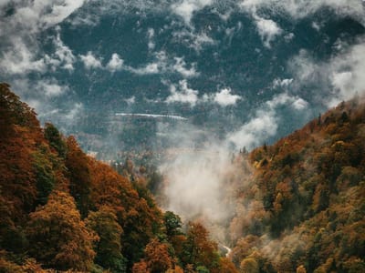 Puzzel 1000 stukjes - Legpuzzel volwassenen - Ontspanning thuis - HD printkwaliteit - 75x50cm - Herfstkleuren