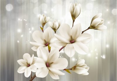 Fotobehangkoning - Behang - Vliesbehang - Fotobehang Sprankelende Bloemen - Flower Nymph - 300 x 210 cm