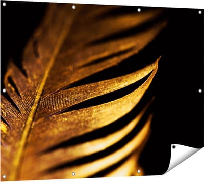 Gards Tuinposter Gouden Veer - 120x90 cm - Tuindoek - Tuindecoratie - Wanddecoratie buiten - Tuinschilderij