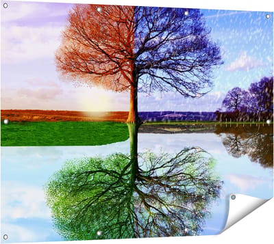 Gards Tuinposter Vier Seizoenen Boom - 120x90 cm - Tuindoek - Tuindecoratie - Wanddecoratie buiten - Tuinschilderij