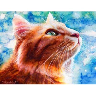 Diamant borduurwerk schilderij oranje katten kijken omhoog naar de hemel Home Decor Cross Stitch Wanddecoratie 20X30CM blue