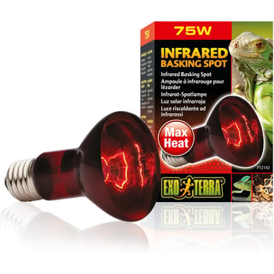 Terrarium lamp Exo Terra Infrared Basking Spot 75W
