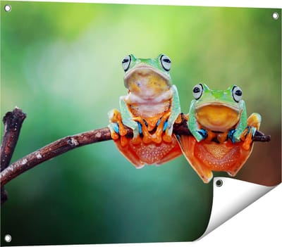 Gards Tuinposter Twee Boomkikkers op een Tak - 80x60 cm - Tuindoek - Tuindecoratie - Wanddecoratie buiten - Tuinschilderij