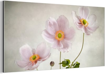 Aluminium schilderij 160x80 cm - Wanddecoratie metaal - Bloemen - Stilleven - Olieverf - Klaproos - Roze - Metalen muurdecoratie woonkamer - Decoratie industrieel - Foto op dibond - Industriële accessoires slaapkamer