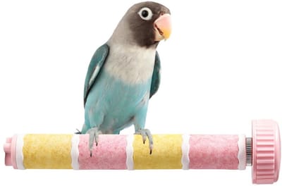 Dailygoods- Zitstok Vogelkooi - Slijpsteen voor Snavels - Meerdere Kleuren - Gemakkelijk te Installeren - Voor Papegaaien en Kleine Vogels - Vogelsitstok