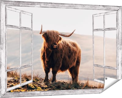 Gards Tuinposter Doorkijk Schotse Hooglander in de Heuvels van Schotland - 150x100 cm - Tuindoek - Tuindecoratie - Wanddecoratie buiten - Tuinschilderij