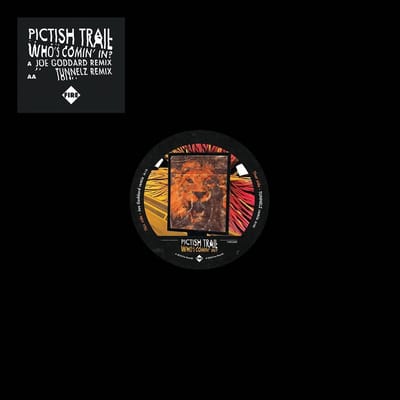 Pictish Trail - Who's Coming In (12" Vinyl Single)