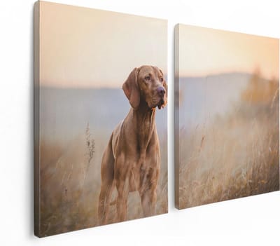 Artaza Canvas Schilderij Tweeluik Hongaarse Vizsla Hond In Het Gras - 120x80 - Foto Op Canvas - Canvas Print