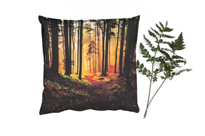 Sierkussens - Kussentjes Woonkamer - 40x40 cm - Bomen - Natuur - Bos