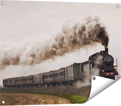 Gards Tuinposter Locomotief Trein met Rook Wolken - 80x60 cm - Tuindoek - Tuindecoratie - Wanddecoratie buiten - Tuinschilderij