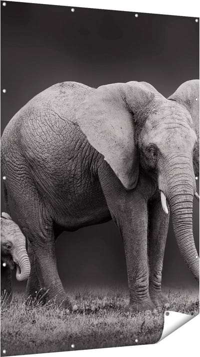 Gards Tuinposter Olifant Moeder en Zoon - Zwart Wit - 120x180 cm - Tuindoek - Tuindecoratie - Wanddecoratie buiten - Tuinschilderij