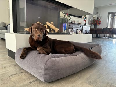 Dog's Companion - Hondenkussen / Hondenbed dark grey bouclé - XS - 55x45cm