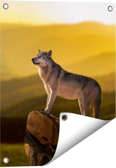 Gards Tuinposter Wolf op een Rots met een Heuvel Landschap - 40x50 cm - Tuindoek - Tuindecoratie - Wanddecoratie buiten - Tuinschilderij