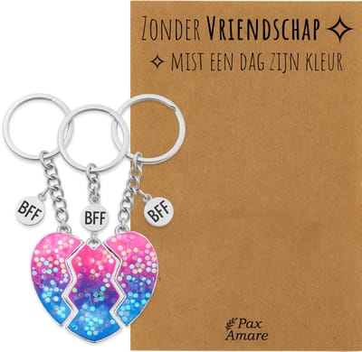 BFF Sleutelhanger voor 3 'Zonder Vriendschap mist een dag zijn kleur' - Magnetisch Glitter Hartje - Sleutelhanger set op Cadeau Kaartje - Zilverkleurig - Vriendschap Symbool - Pax Amare