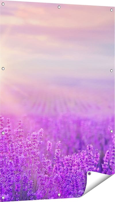 Gards Tuinposter Bloemenveld met Paarse Lavendel - 80x120 cm - Tuindoek - Tuindecoratie - Wanddecoratie buiten - Tuinschilderij