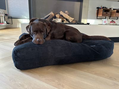 Dog's Companion Hondenkussen / Hondenbed - S - 90 x 70 cm - Black Giant Ribcord