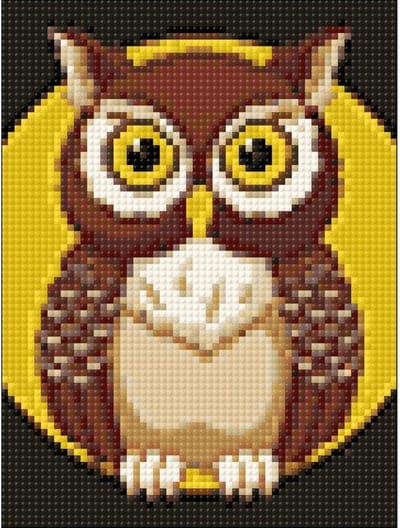Wizardi Diamond Painting Night Owl WD308